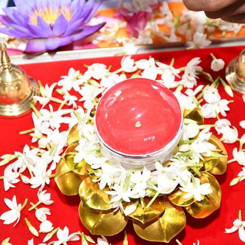 සර්වඥ ධාතූන් වහන්සේලාට උපහාර දැක්වීමේ උත්සවය